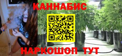 крисы Кунгур