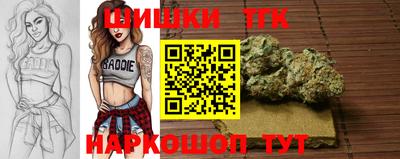 крисы Кунгур