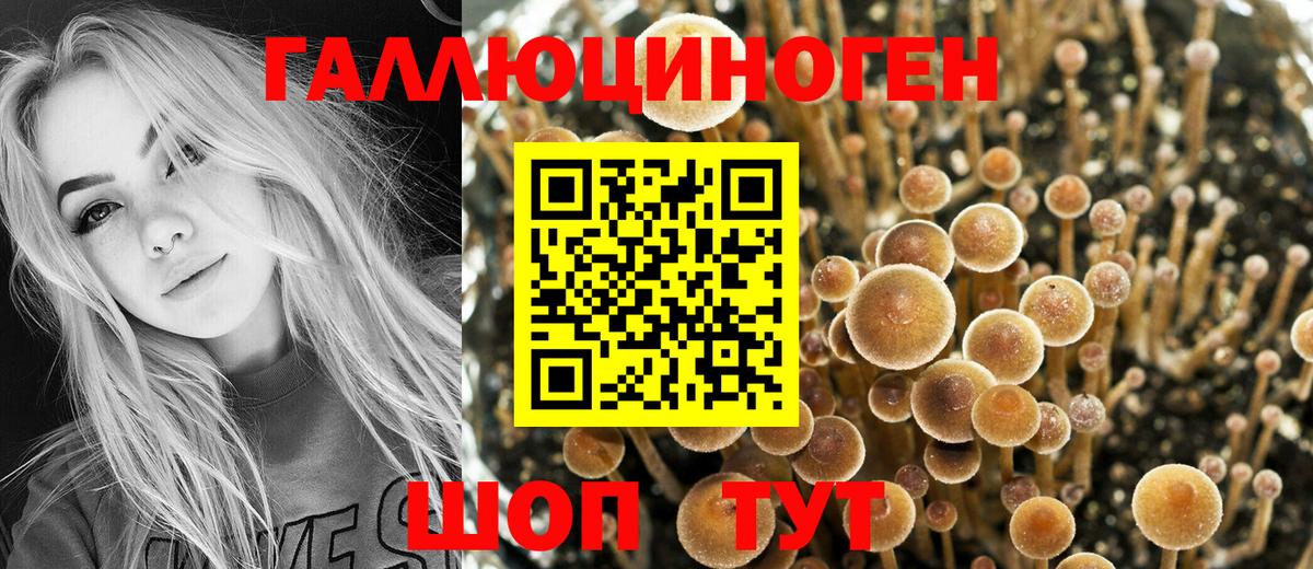 Галлюциногенные грибы GOLDEN TEACHER Шадринск