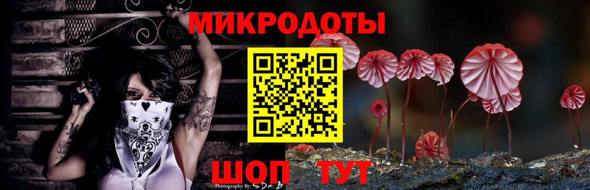 Псилоцибиновые грибы Psilocybe  Вход с VPN  Шадринск 